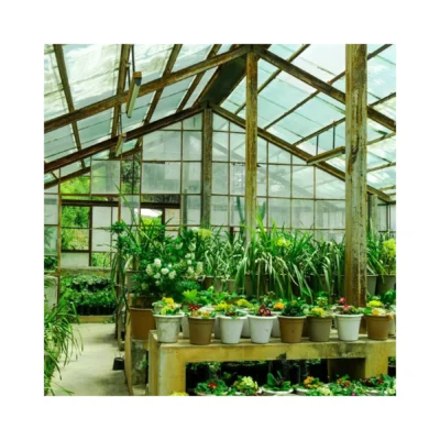 39. Greenhouses & Flower Trolleys – Comprehensive Solutions for Gardening & Commercial Nurseries