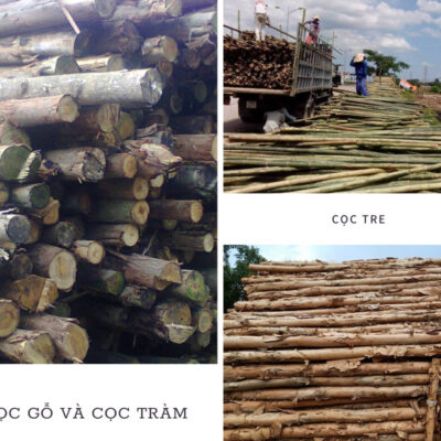 Bamboo piles, Melaleuca piles or wooden piles in house construction